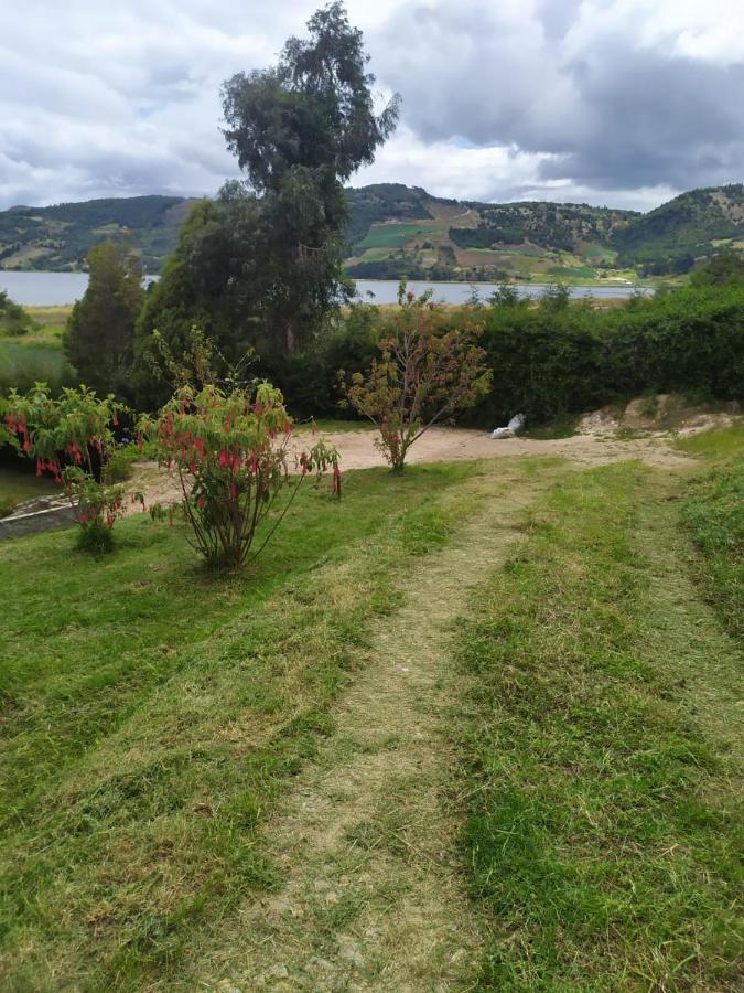 Naturaleza Y Vida *