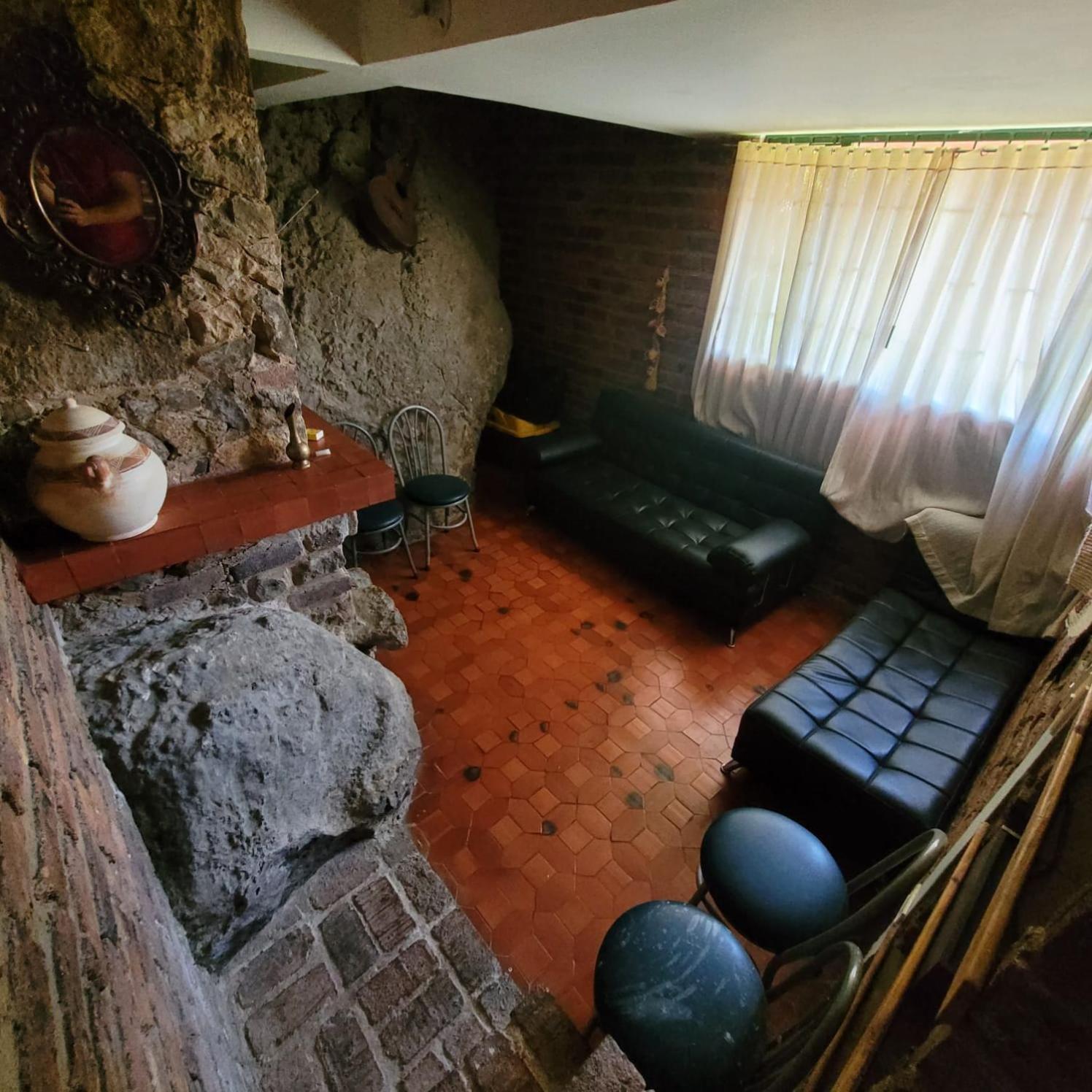 Naturaleza Y Vida *