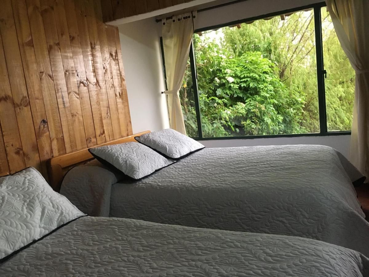 Chalet Naturaleza Y Vida